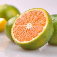 嚴選新鮮現(xiàn)摘云南青皮橘子蜜桔子應季當季孕婦水果9斤青綠 皮蜜橘